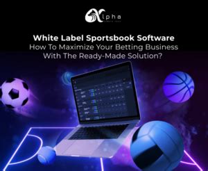 white label betting software integration|White Label Sportsbook Software Development Guide.
